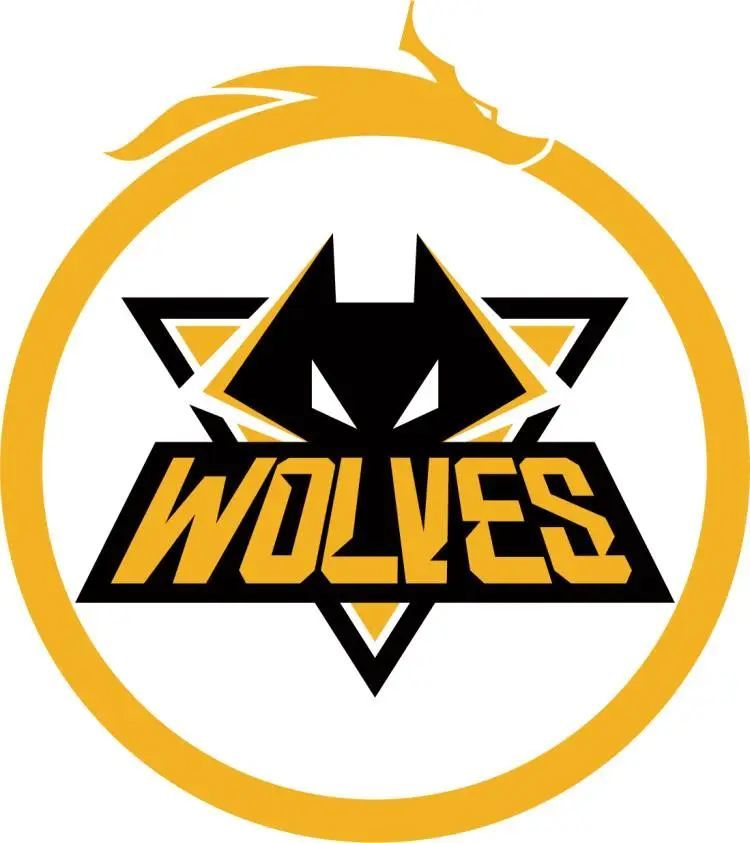 Doinb整活，称Ruler私聊他说跟LWX对线没压力